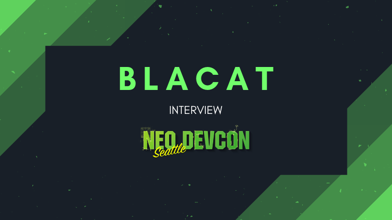 BlaCat Interview