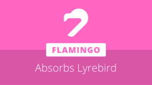 flamingo absorbs lyrebird